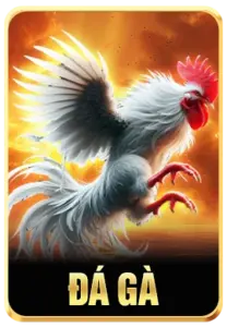 88AA 3 Sảnh đá gà 88aa