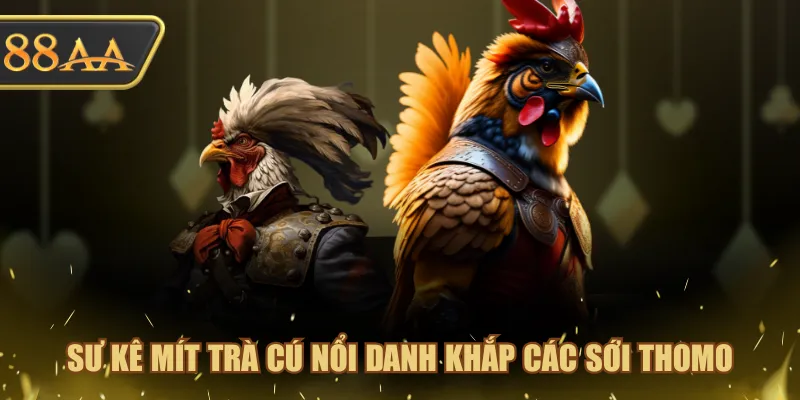 Sư kê Mít Trà Cú nổi danh khắp các sới Thomo